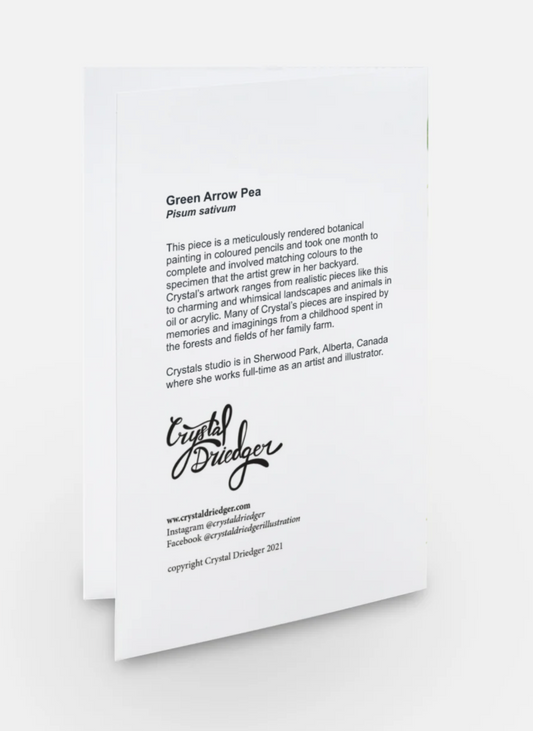 Green Arrow Pea Art Card