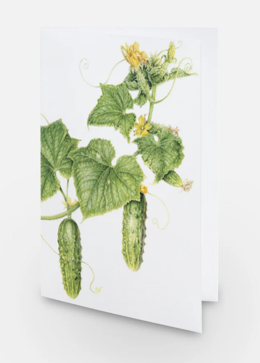 Early Fortune Cucumber Art Card