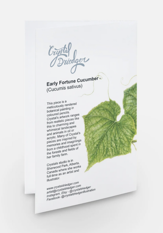 Early Fortune Cucumber Art Card