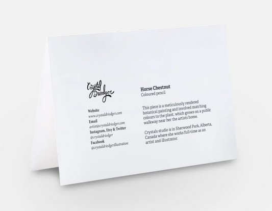 Horse Chestnut Art Card