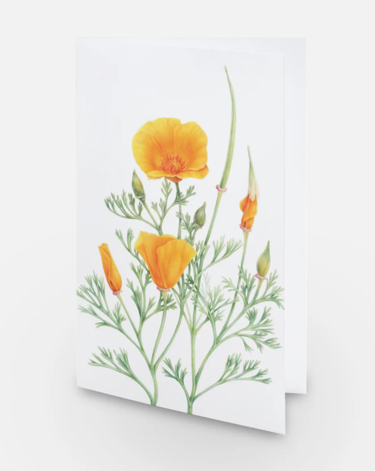 California Poppy Art Card