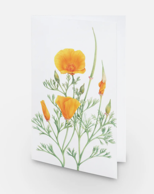 California Poppy Art Card
