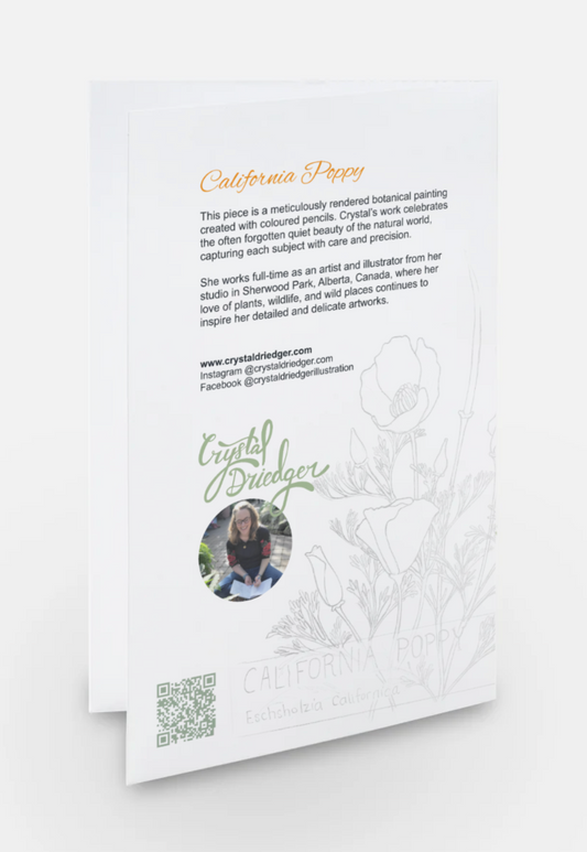 California Poppy Art Card
