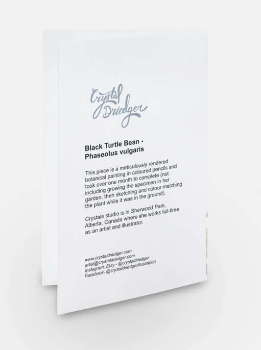 Black Turtle Bean Art Card (Blank Inside) Note Card