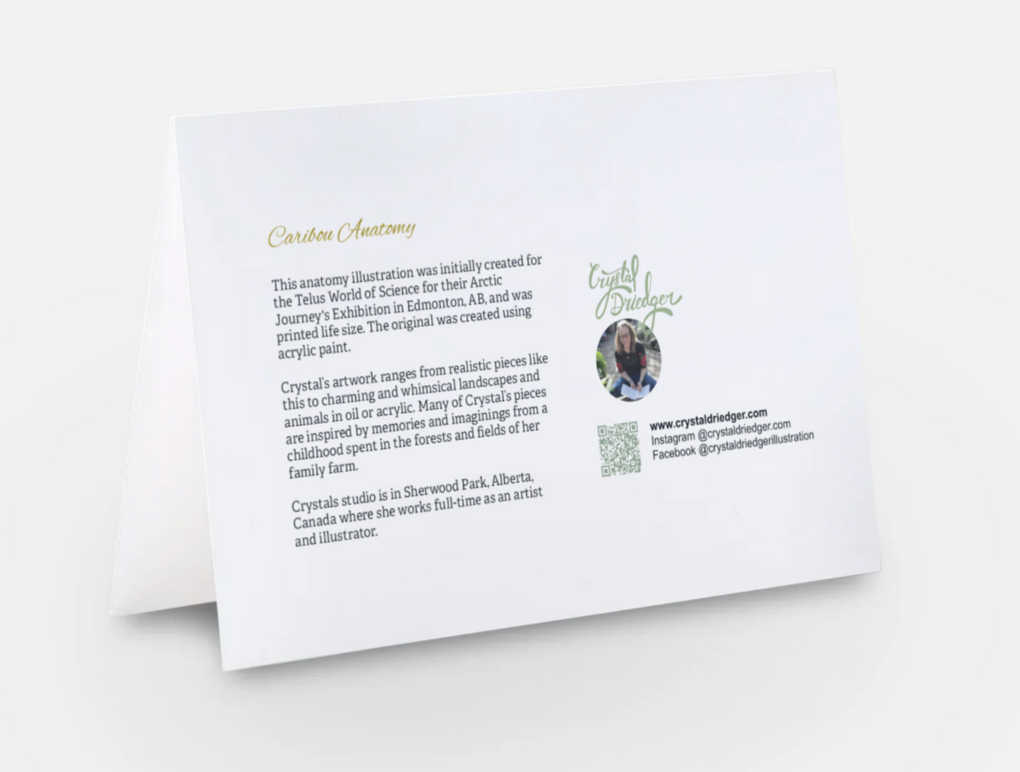 Caribou Anatomy Art Card