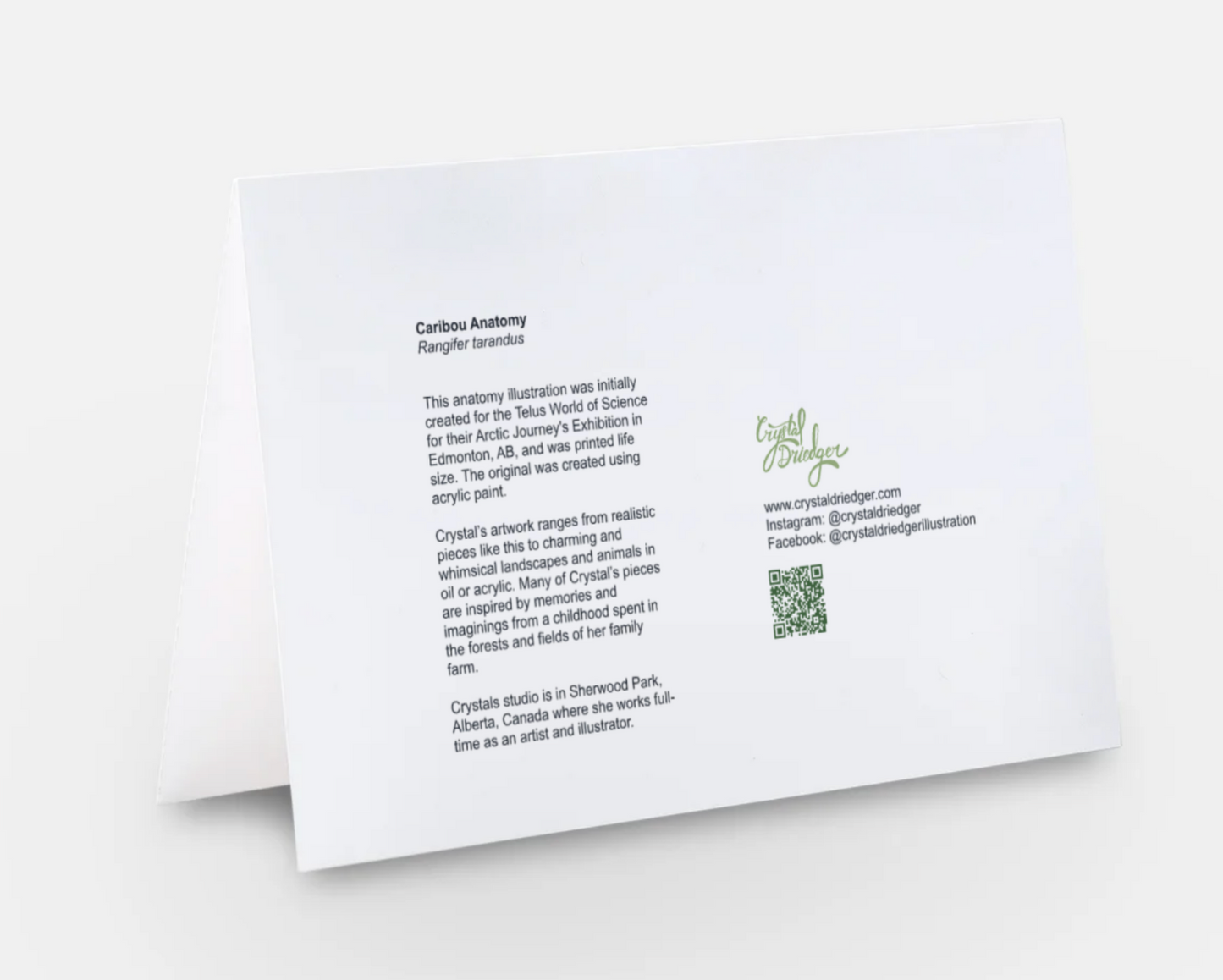 Caribou Anatomy Art Card