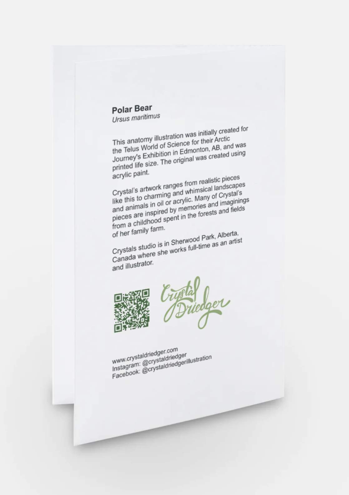 Polar Bear Anatomy Art Card