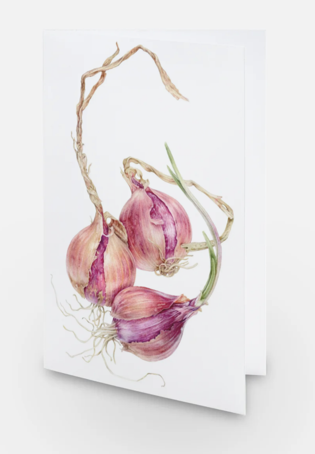 Tropea Onion Card