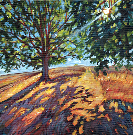 How the Light Holds You