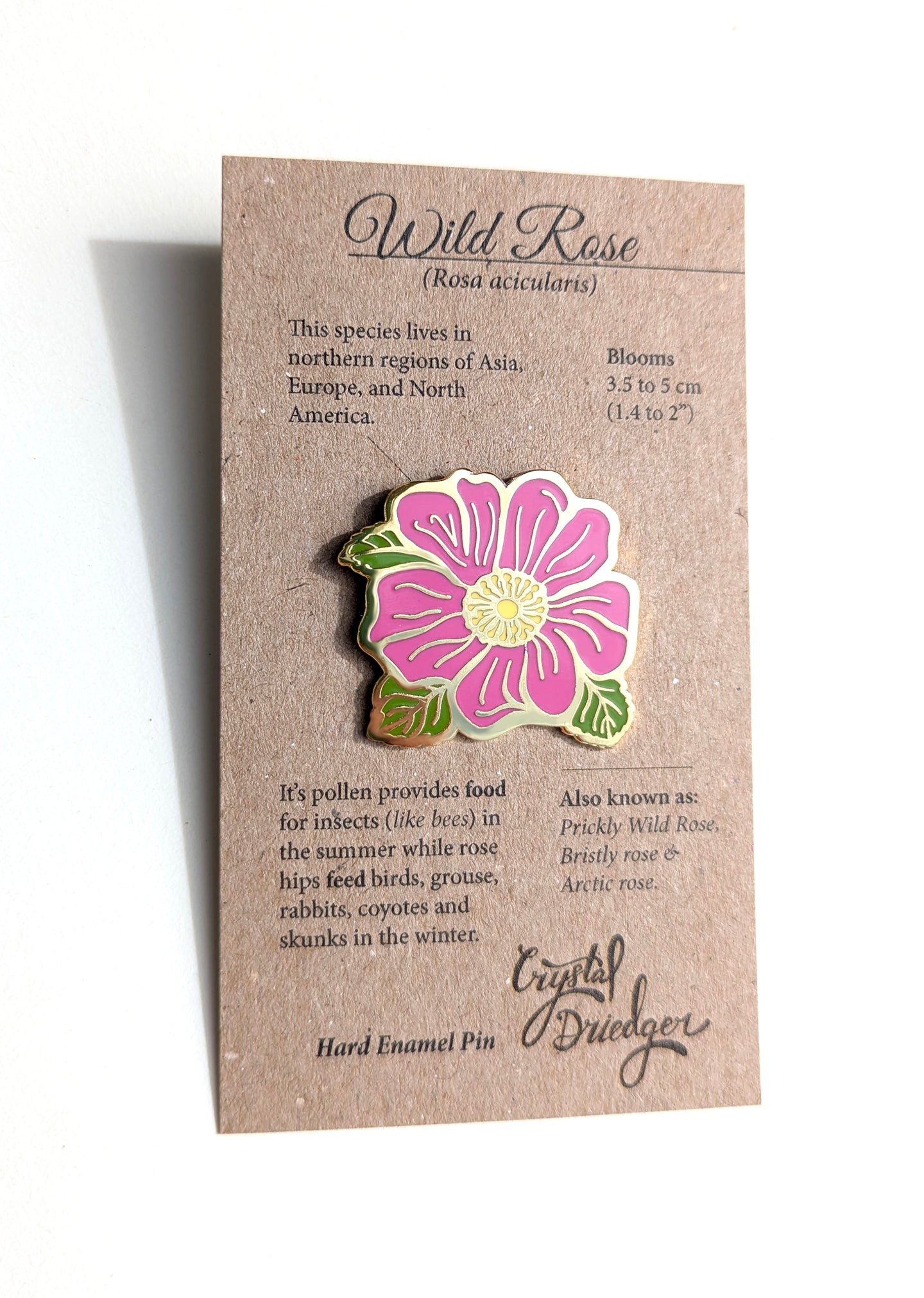 Wild Rose hard enamel Pin in Gold
