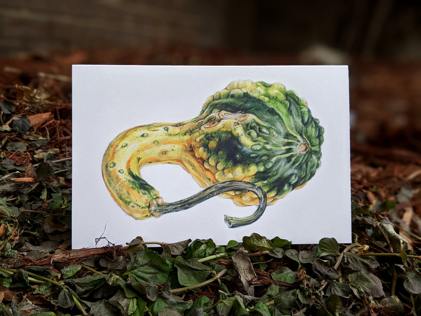Heirloom Gourd Art Card (Blank Inside) Note Card