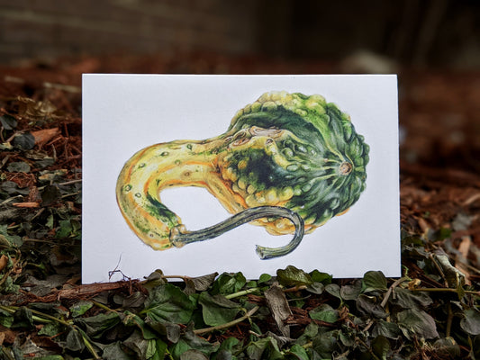 Heirloom Gourd Art Card (Blank Inside) Note Card