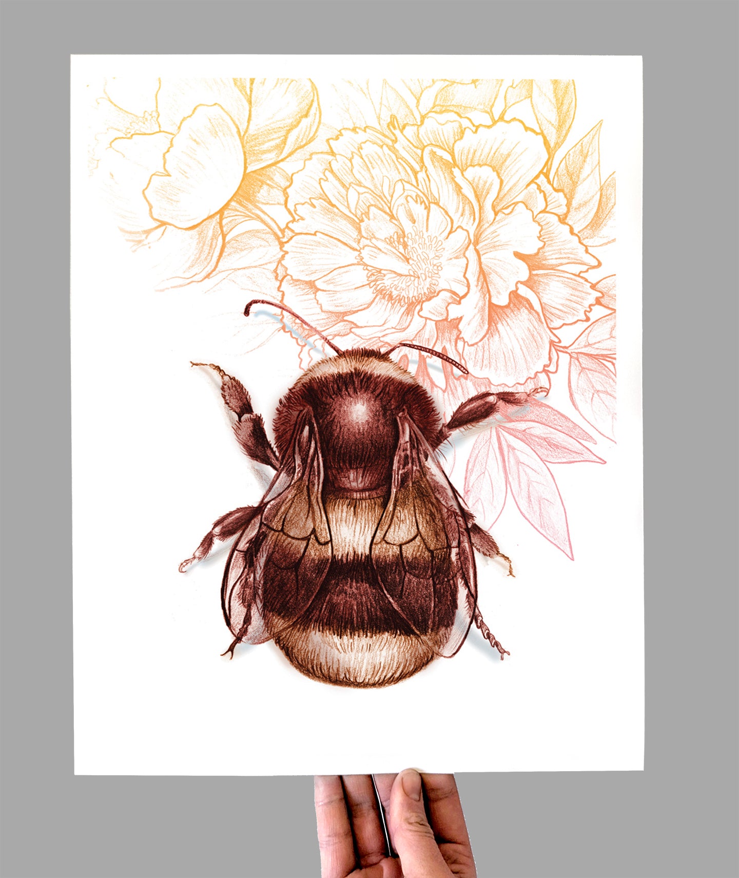 Bee & Peonies Giclee Print