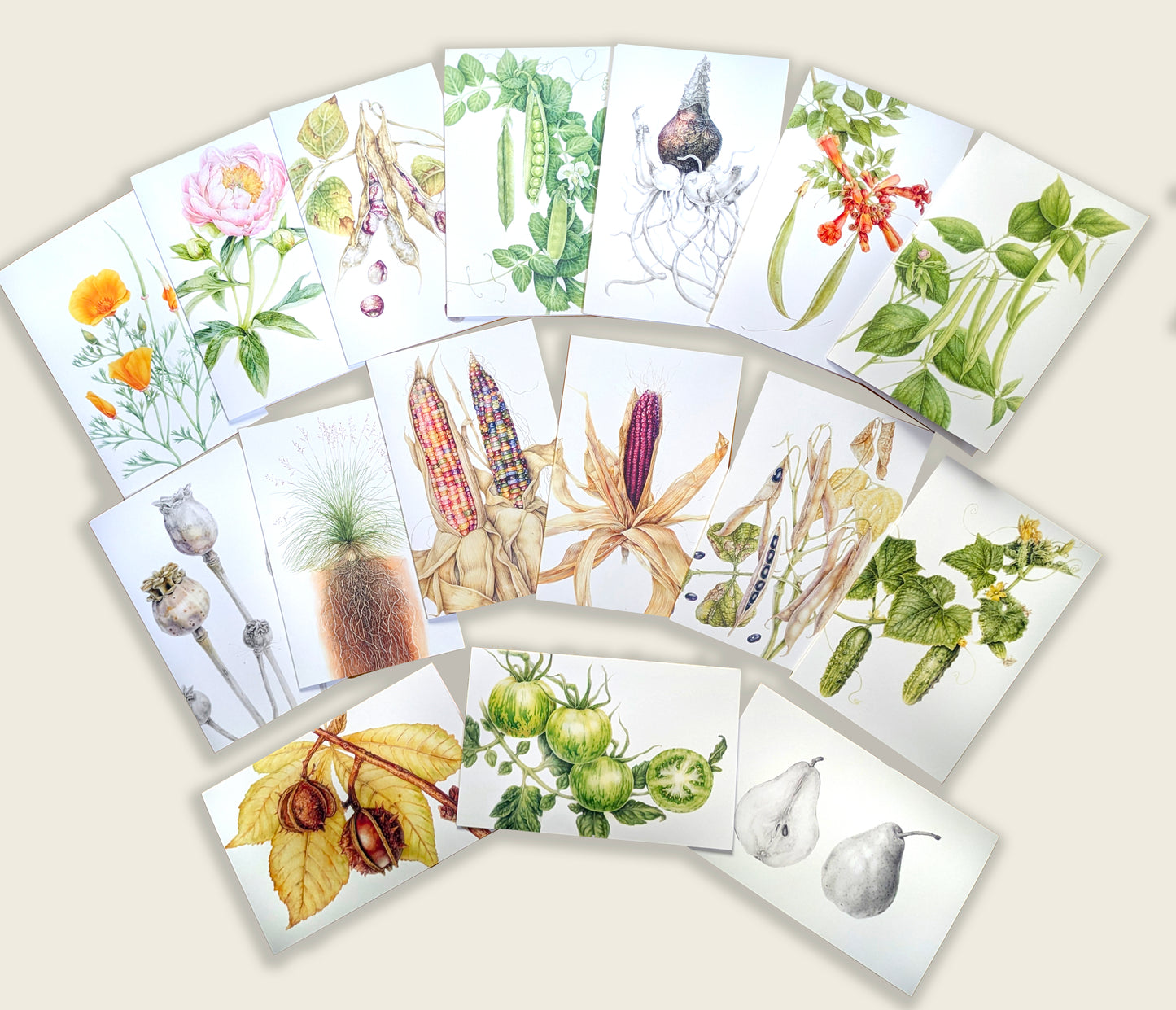Botanical Art Card Set