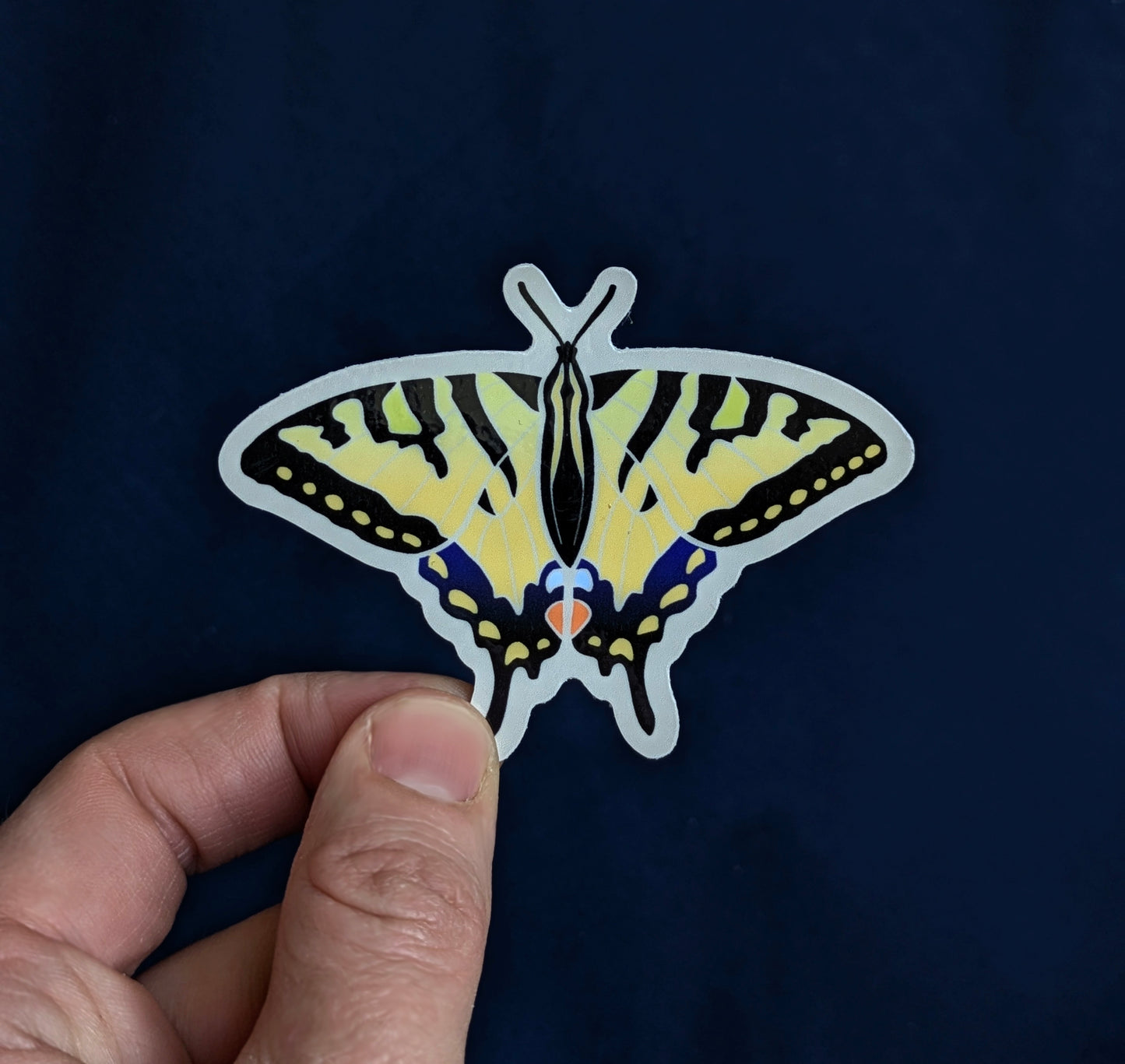 Swallowtail Butterfly Sticker