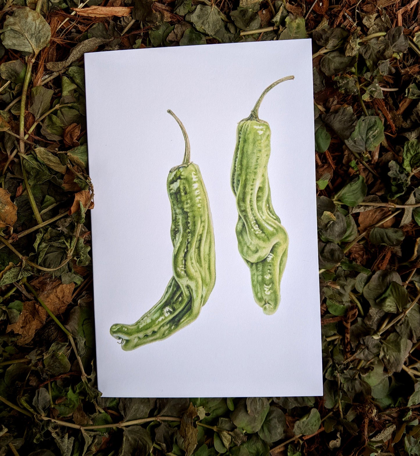 Shishito Peppers Art Card (Blank Inside) Note Card