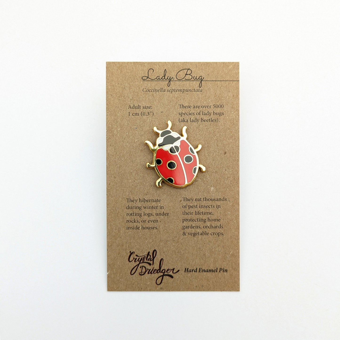 Ladybug - hard enamel Pin in Gold