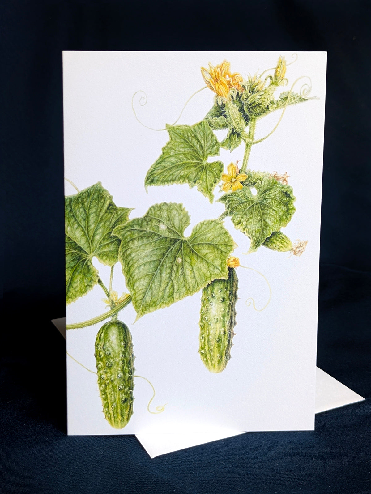 Early Fortune Cucumber Art Card