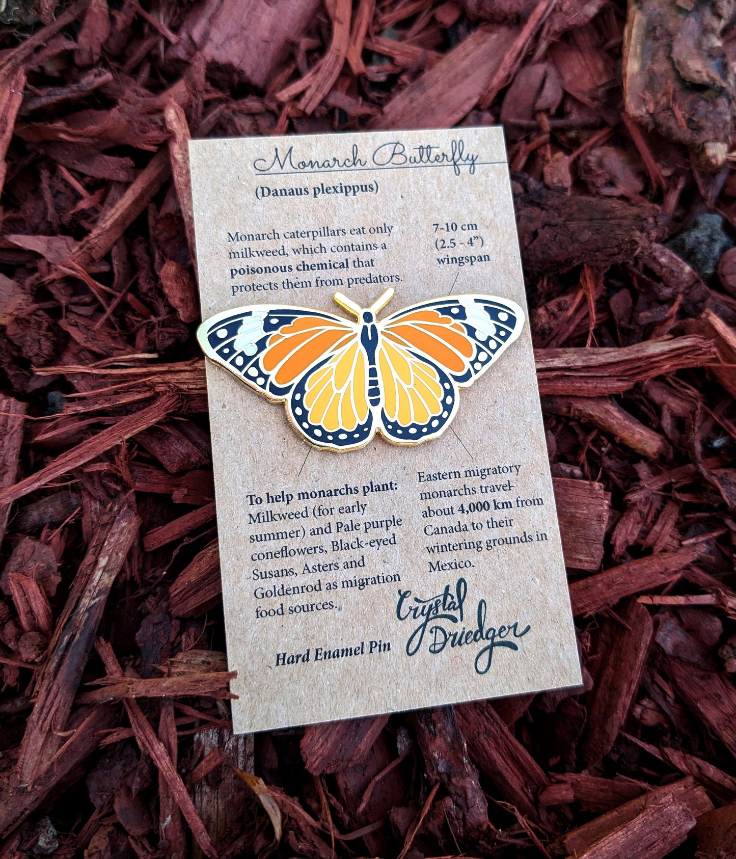 Monarch gold plated Hard Enamel Pin