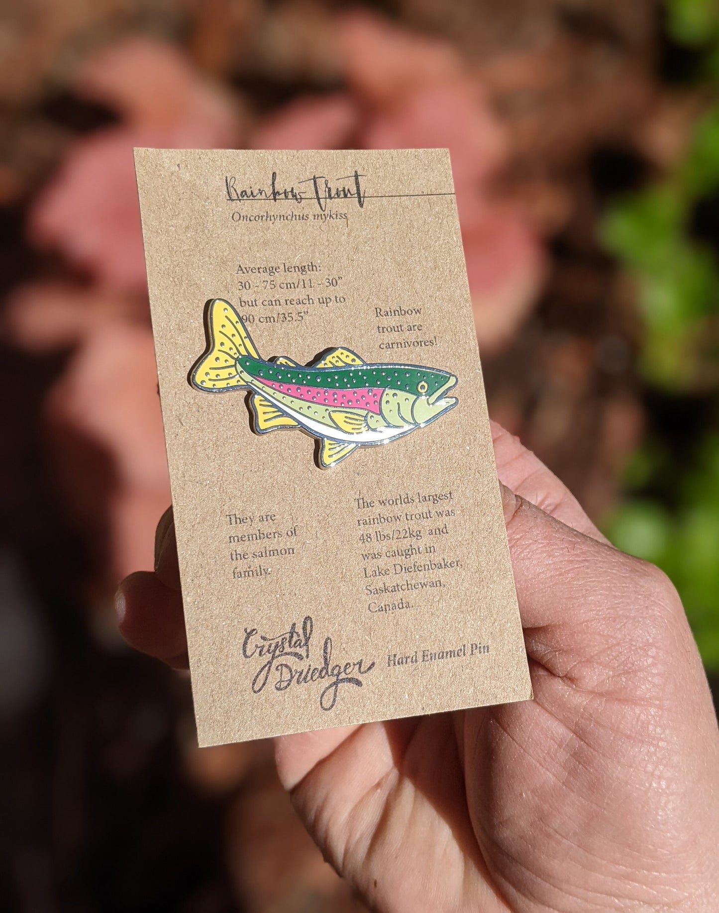 Rainbow Trout hard enamel pin