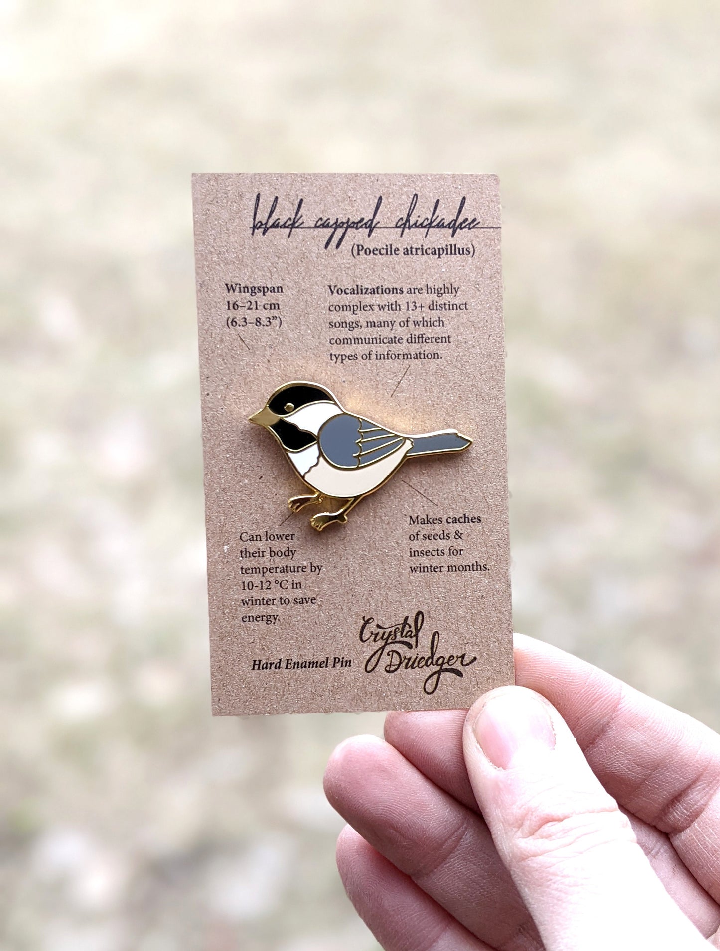 Black Capped Chickadee Resting hard enamel pin
