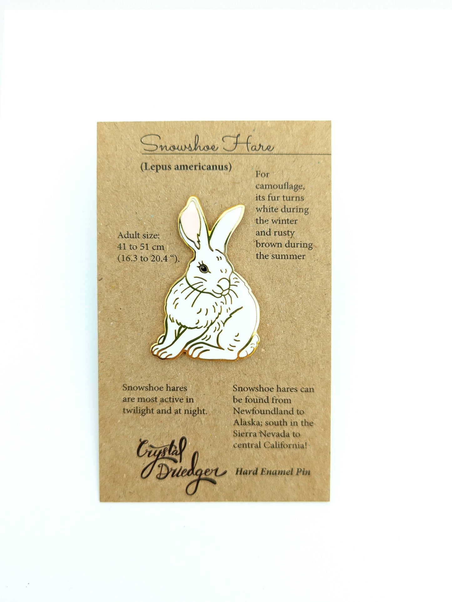 Bunny Rabbit (Snowshoe Hare) Hard Enamel Pin in White