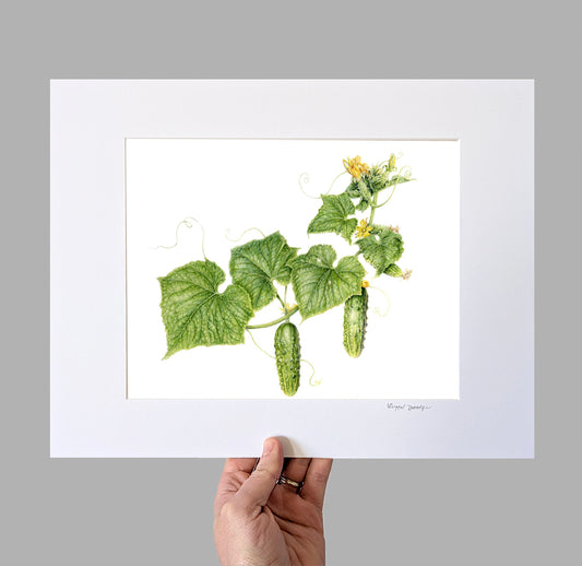 Early Fortune Cucumbers Peas Giclee Print