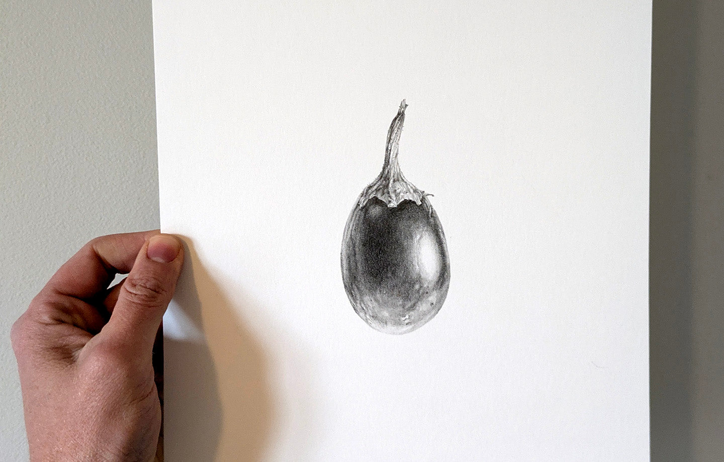 Eggplant Study