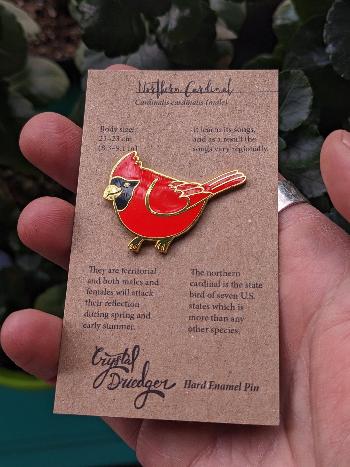 Cardinal hard enamel pin