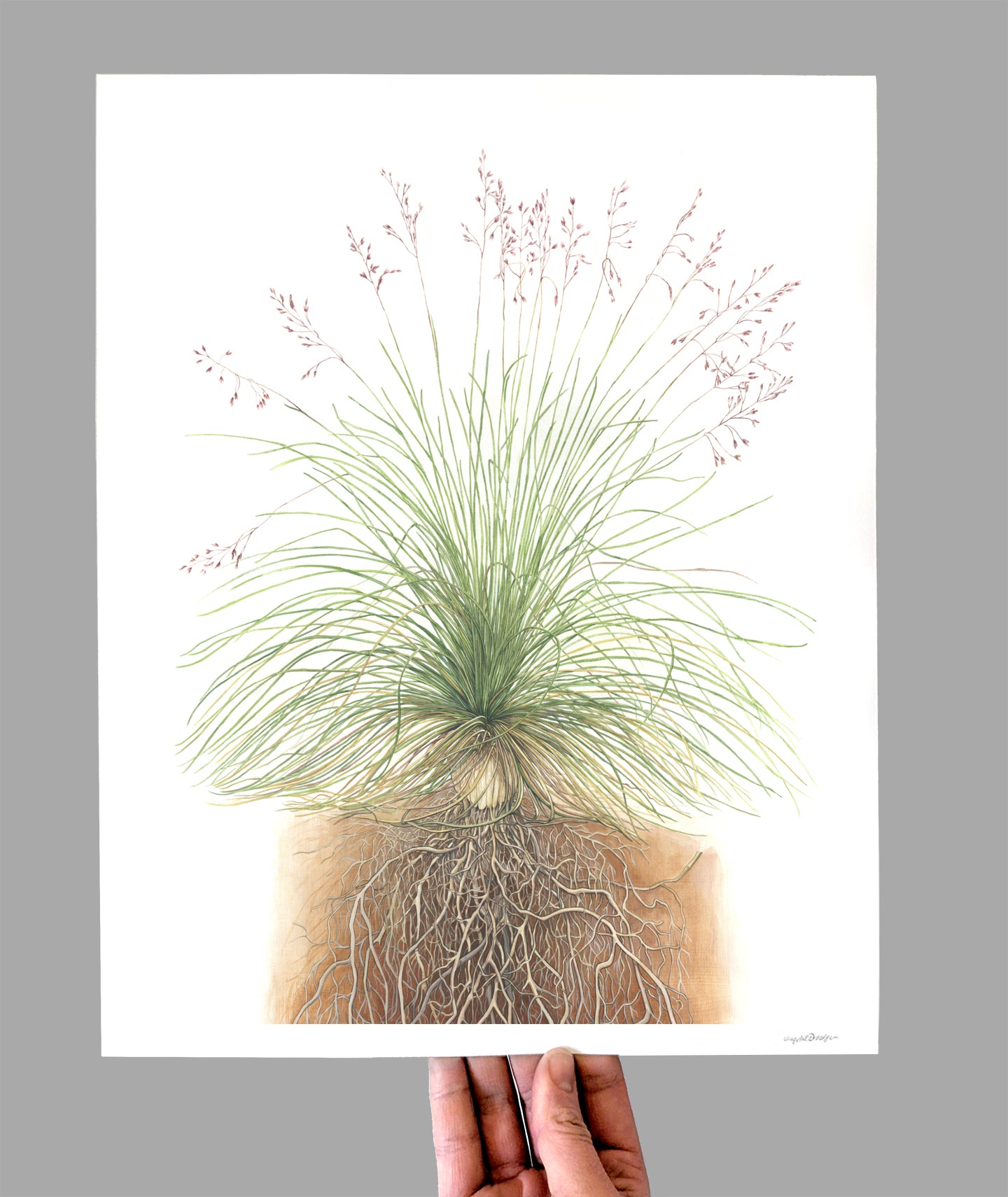 Fescue Giclee Print