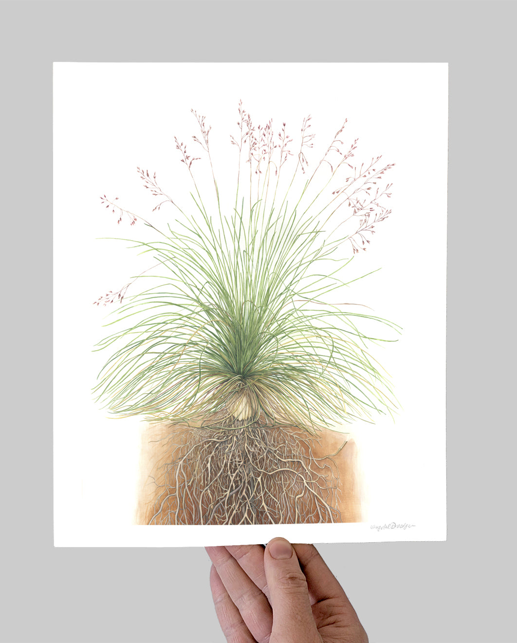Fescue Giclee Print
