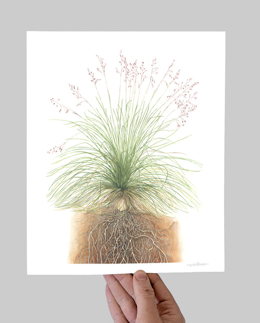Fescue Giclee Print