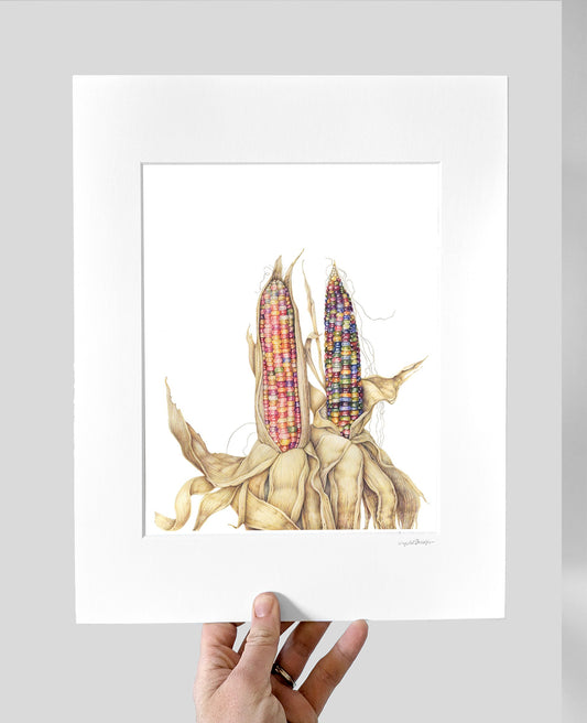 Glass Gem Corn  Giclee Print