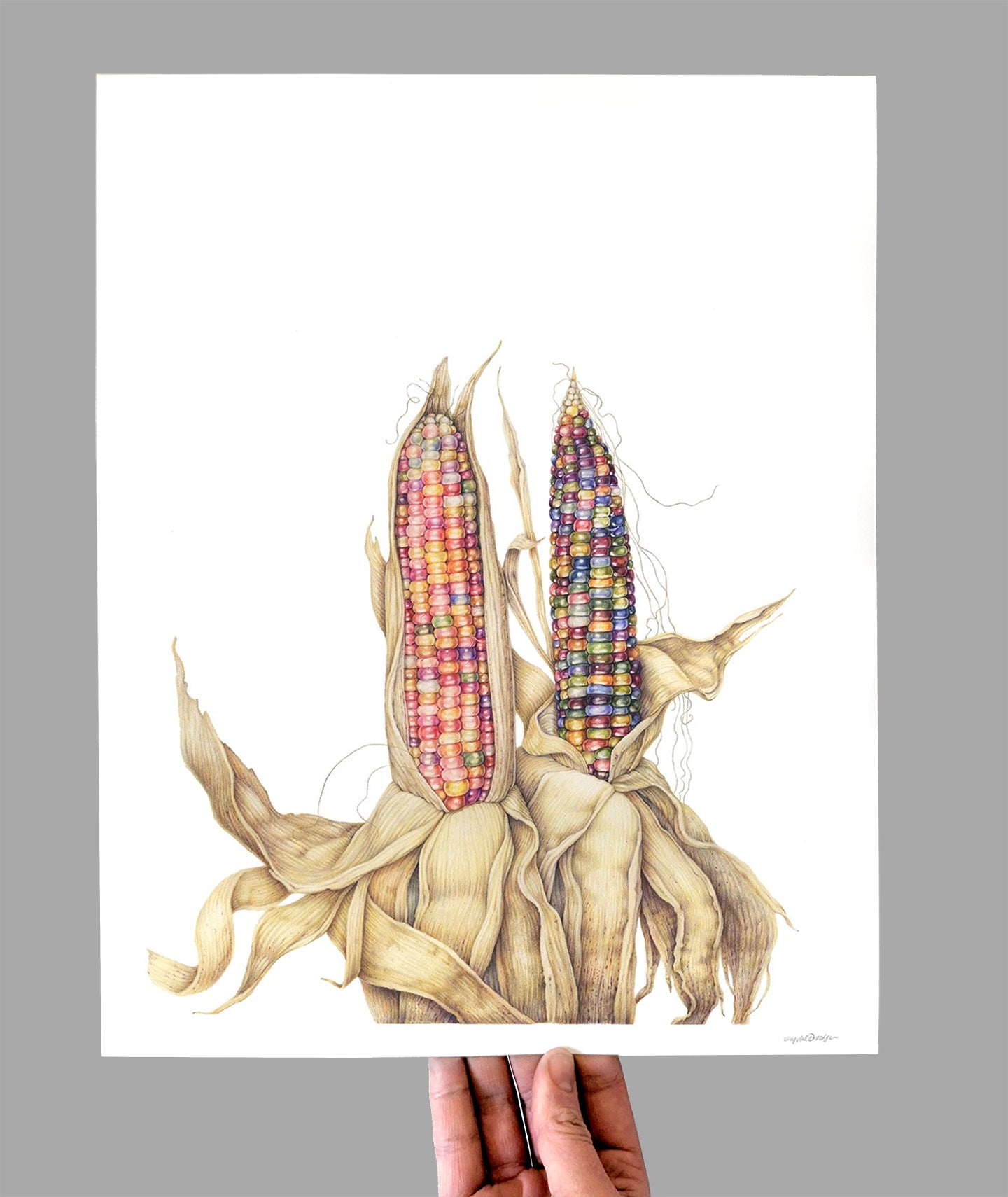 Glass Gem Corn Giclee Print