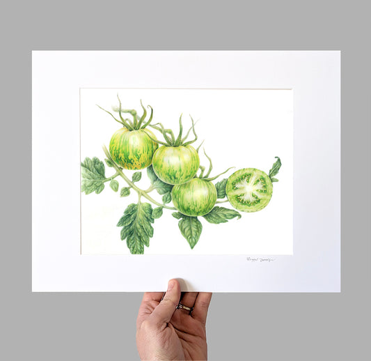 Green Zebra Tomatoes Bean Giclee Print