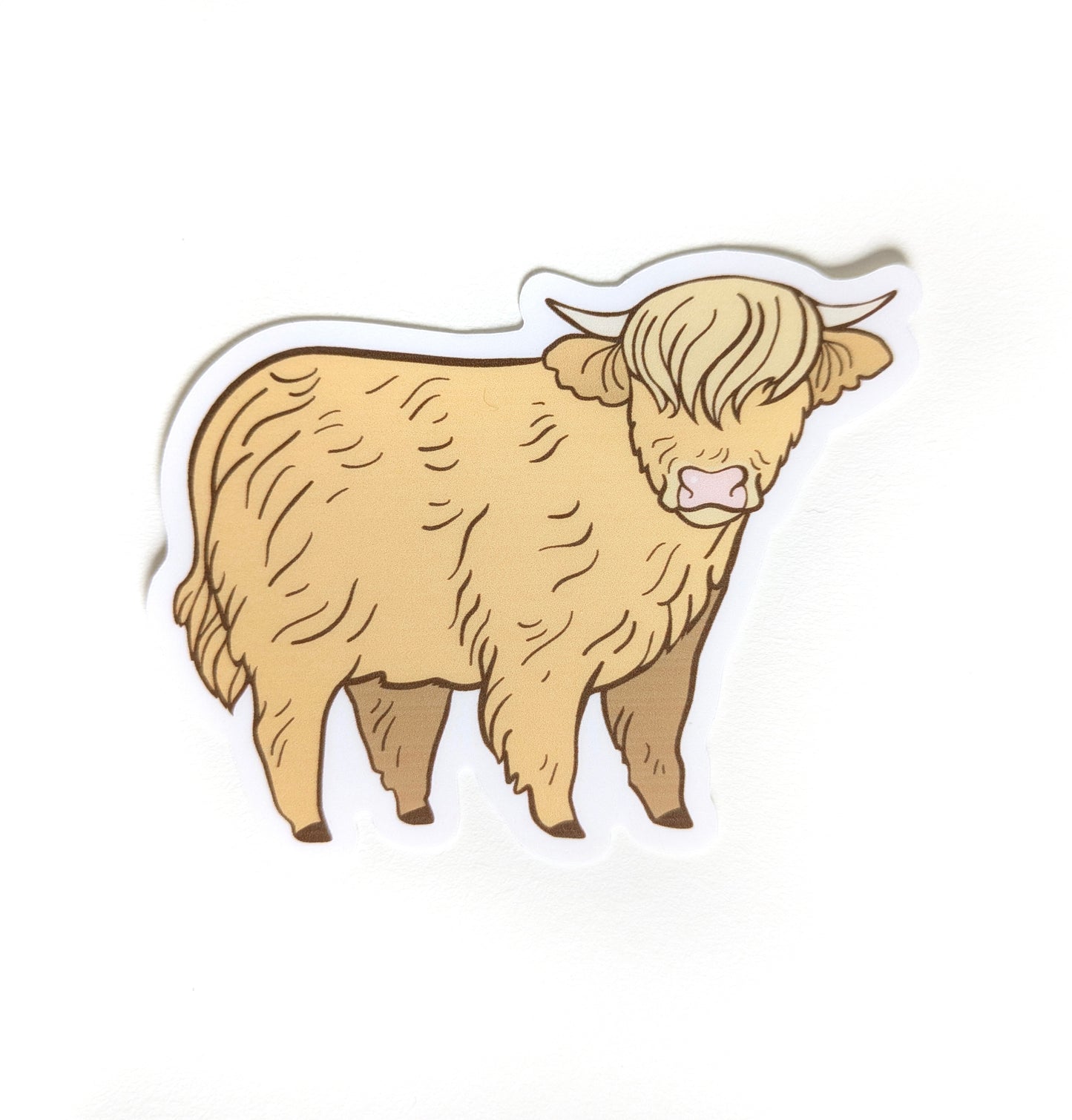 Highland Cow Sticker