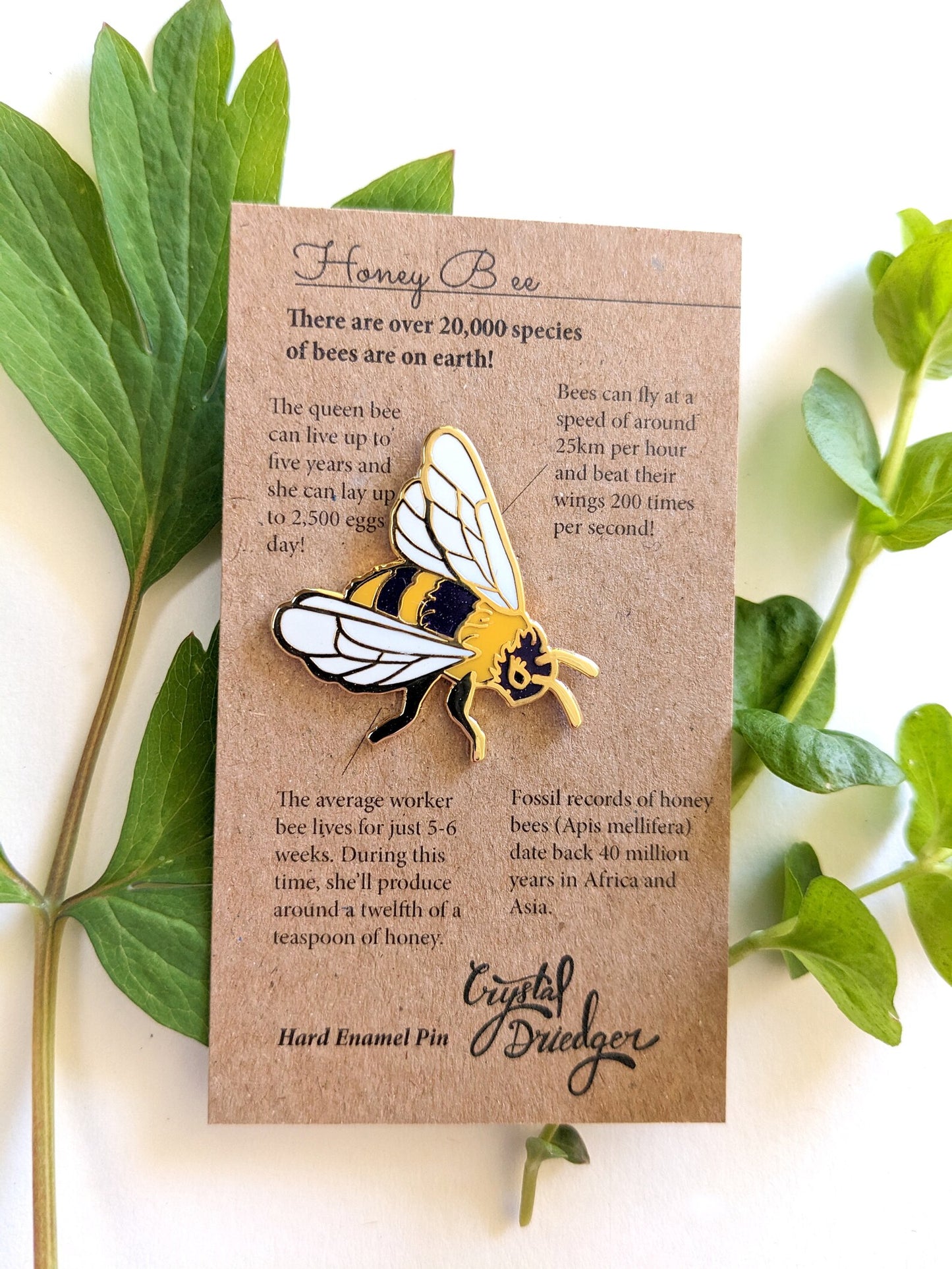 Honey Bee - hard enamel Pin in Gold