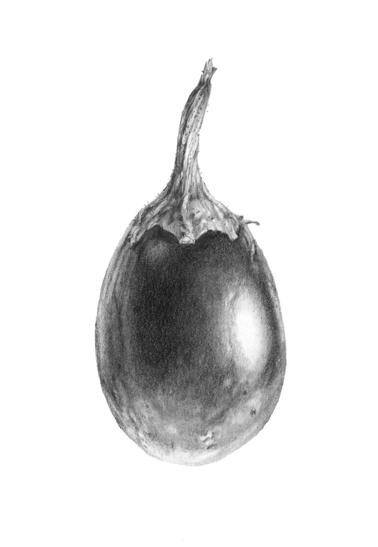Eggplant Study