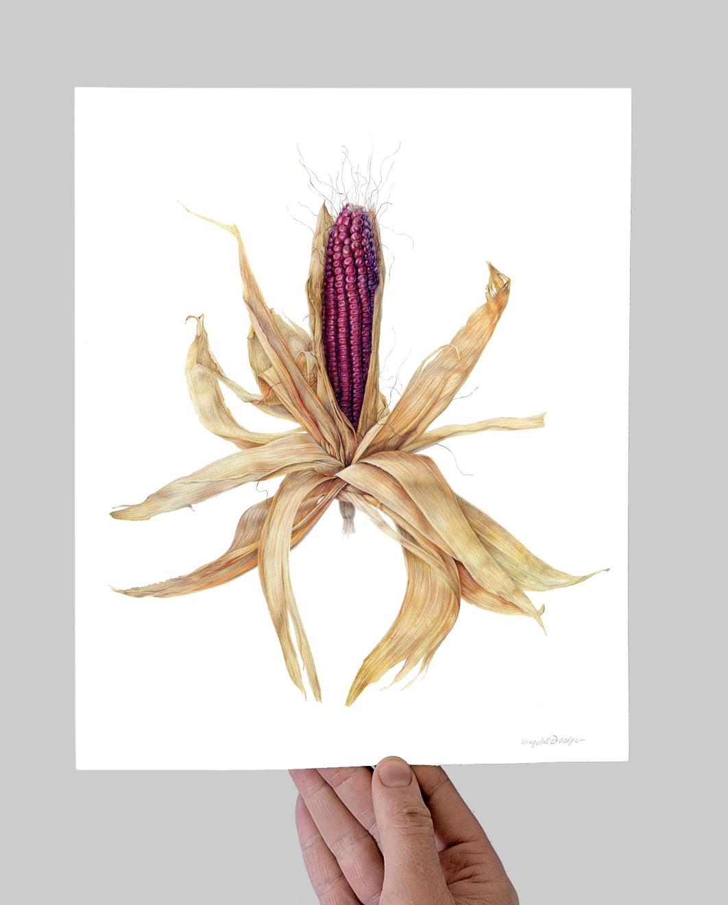 Jimmy Red Corn Giclee Print