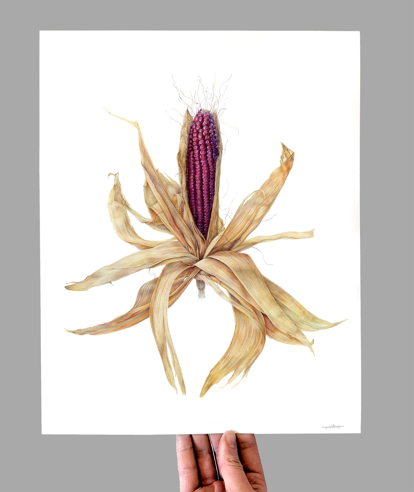 Jimmy Red Corn Giclee Print