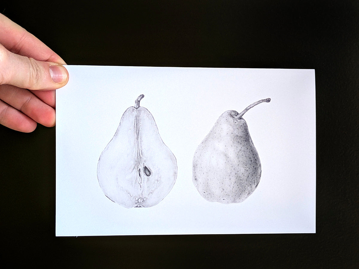 Pear Study Art Card