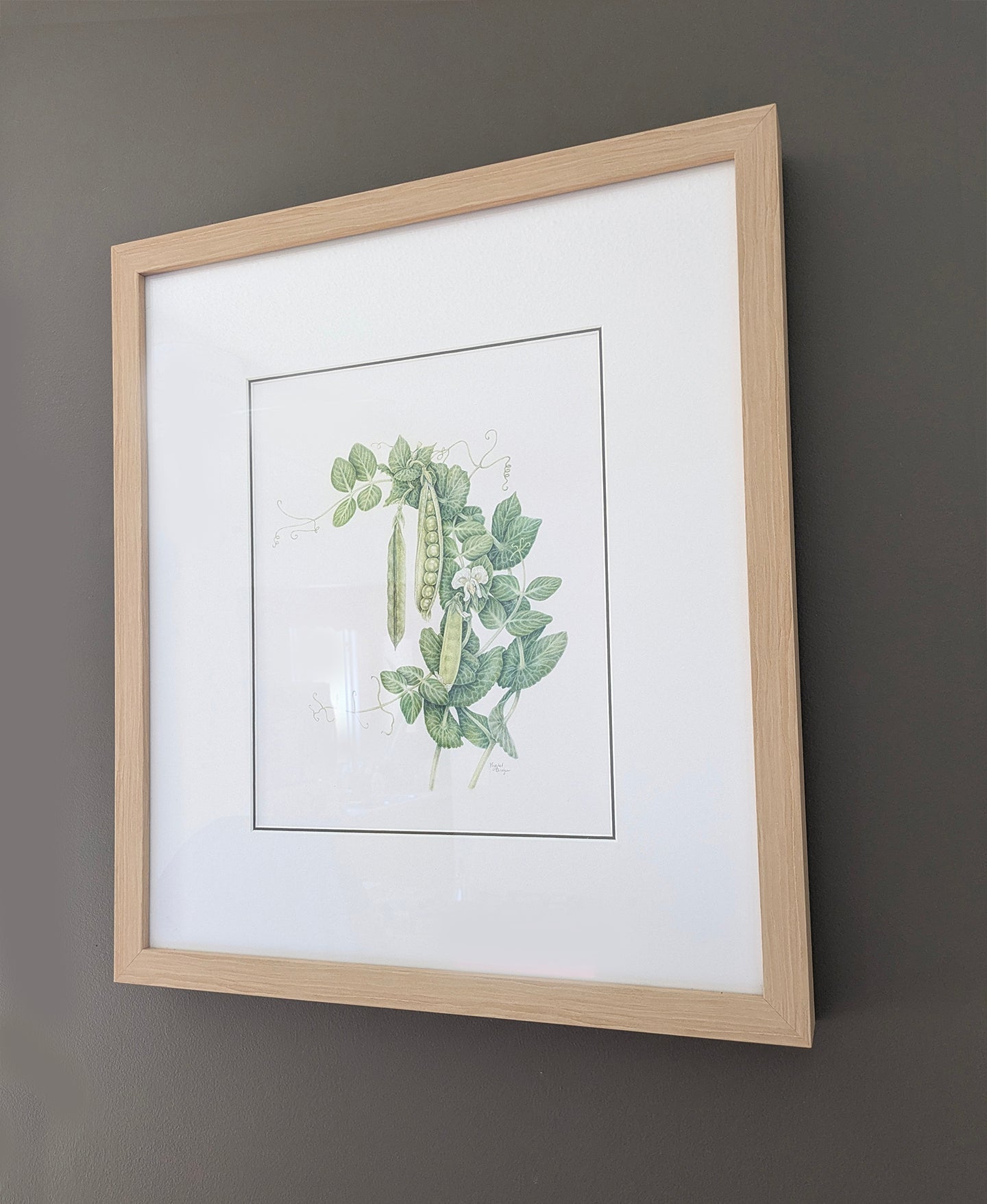 Green Arrow Peas (Framed)