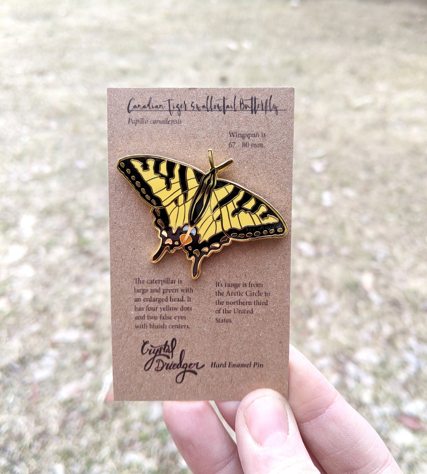 Canadian Tiger Swallowtail Butterfly hard enamel pin