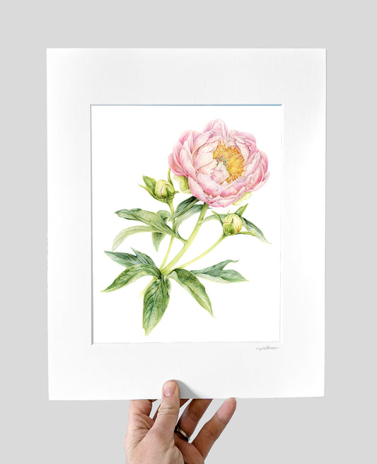 Abalone Pearl Peony Giclee Print