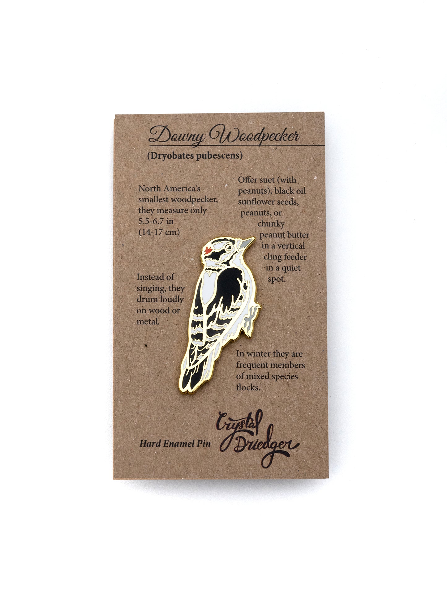 Downy Woodpecker Enamel Pin