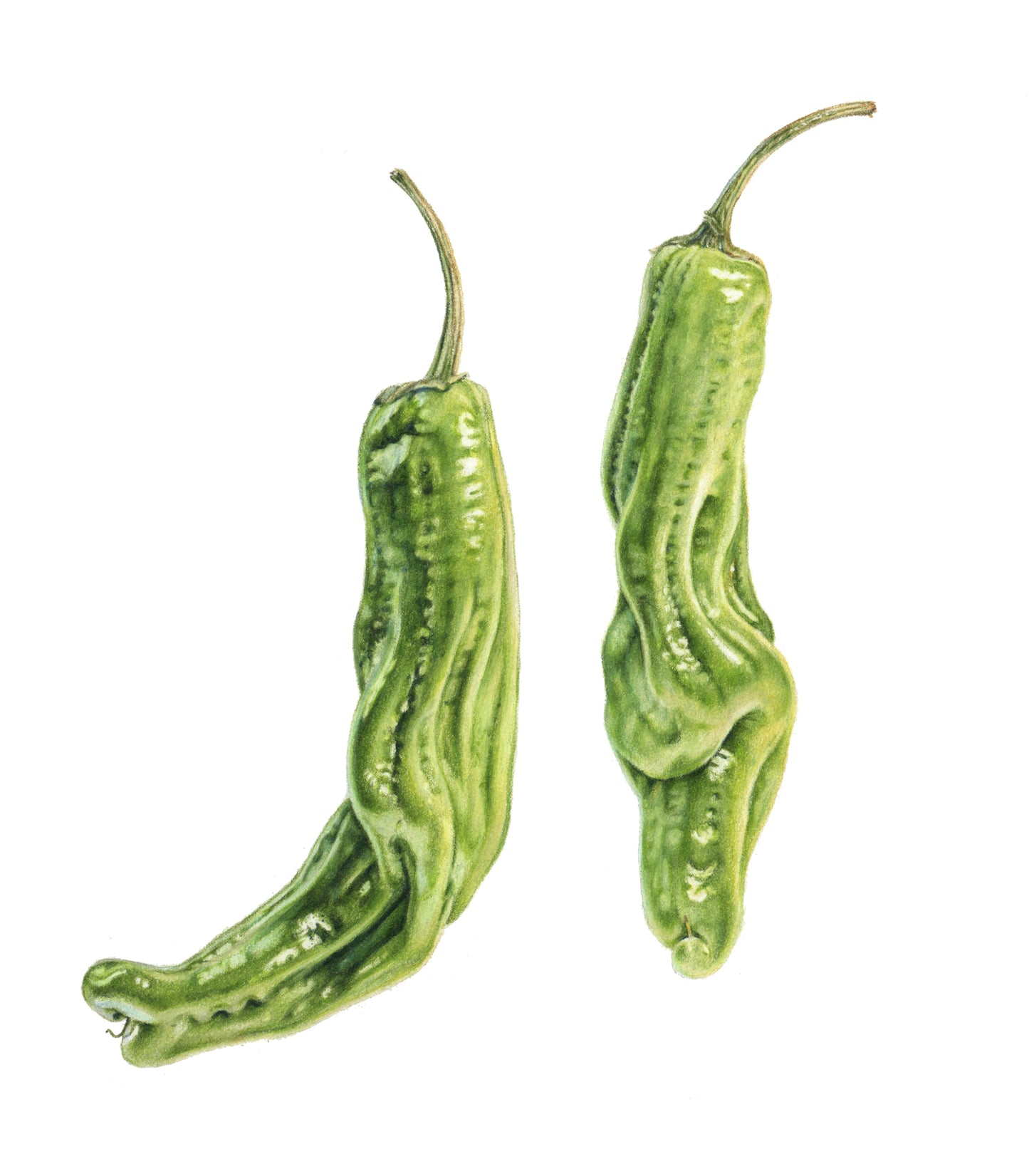 Shishito Peppers