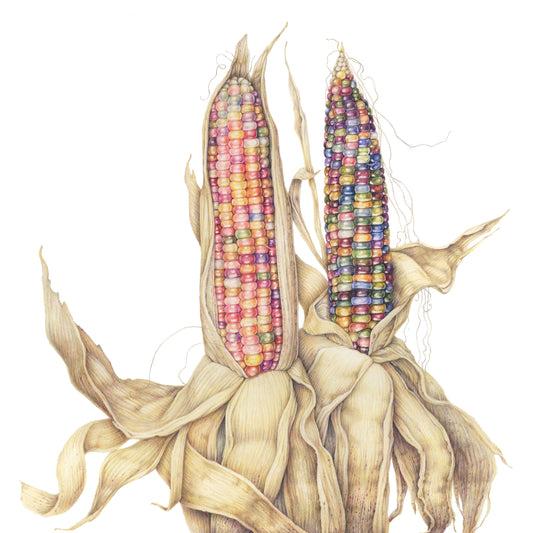 Glass Gem Corn (Framed)