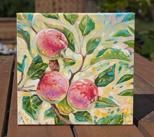 Summer Abundance