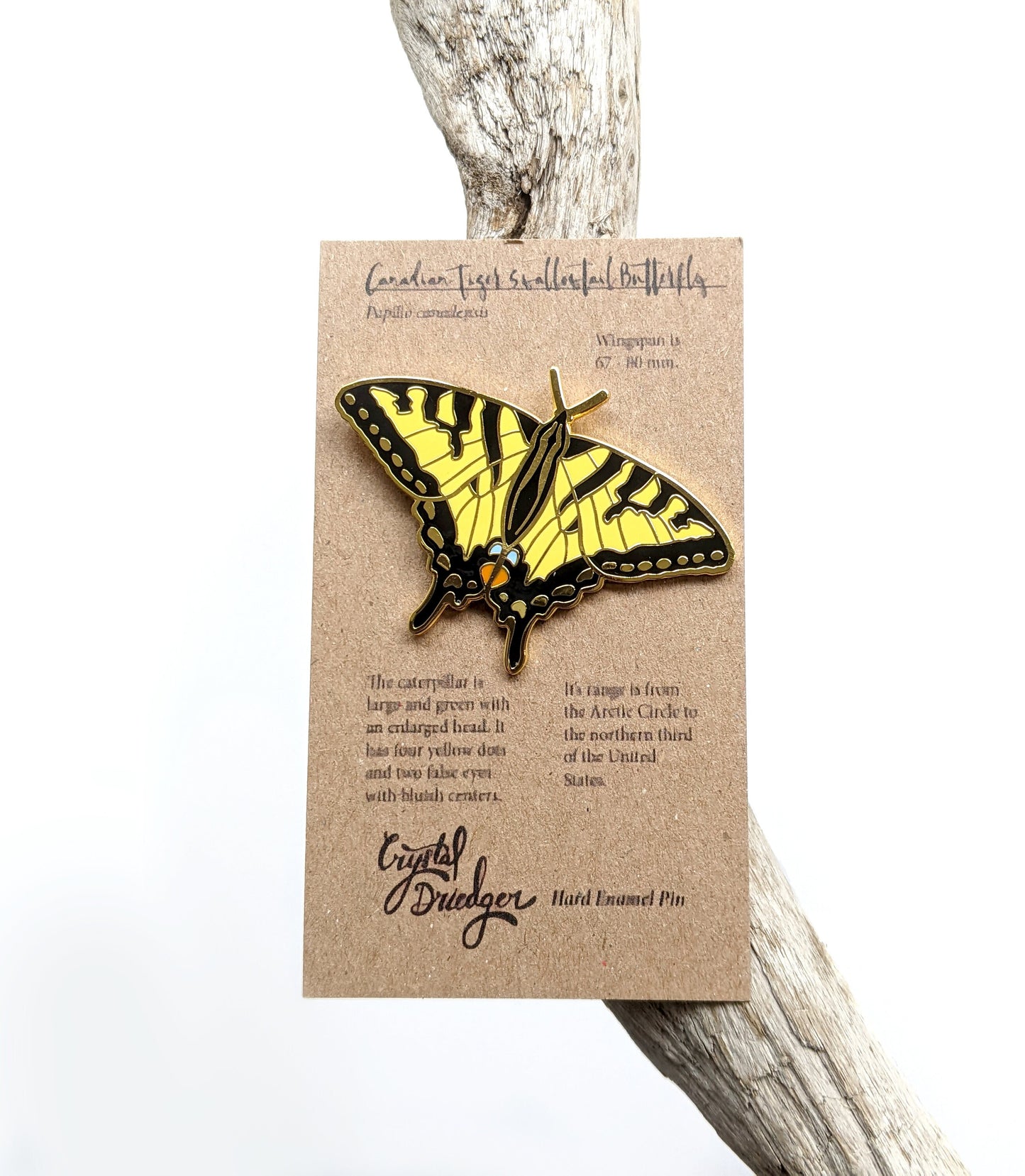 Canadian Tiger Swallowtail Butterfly hard enamel pin