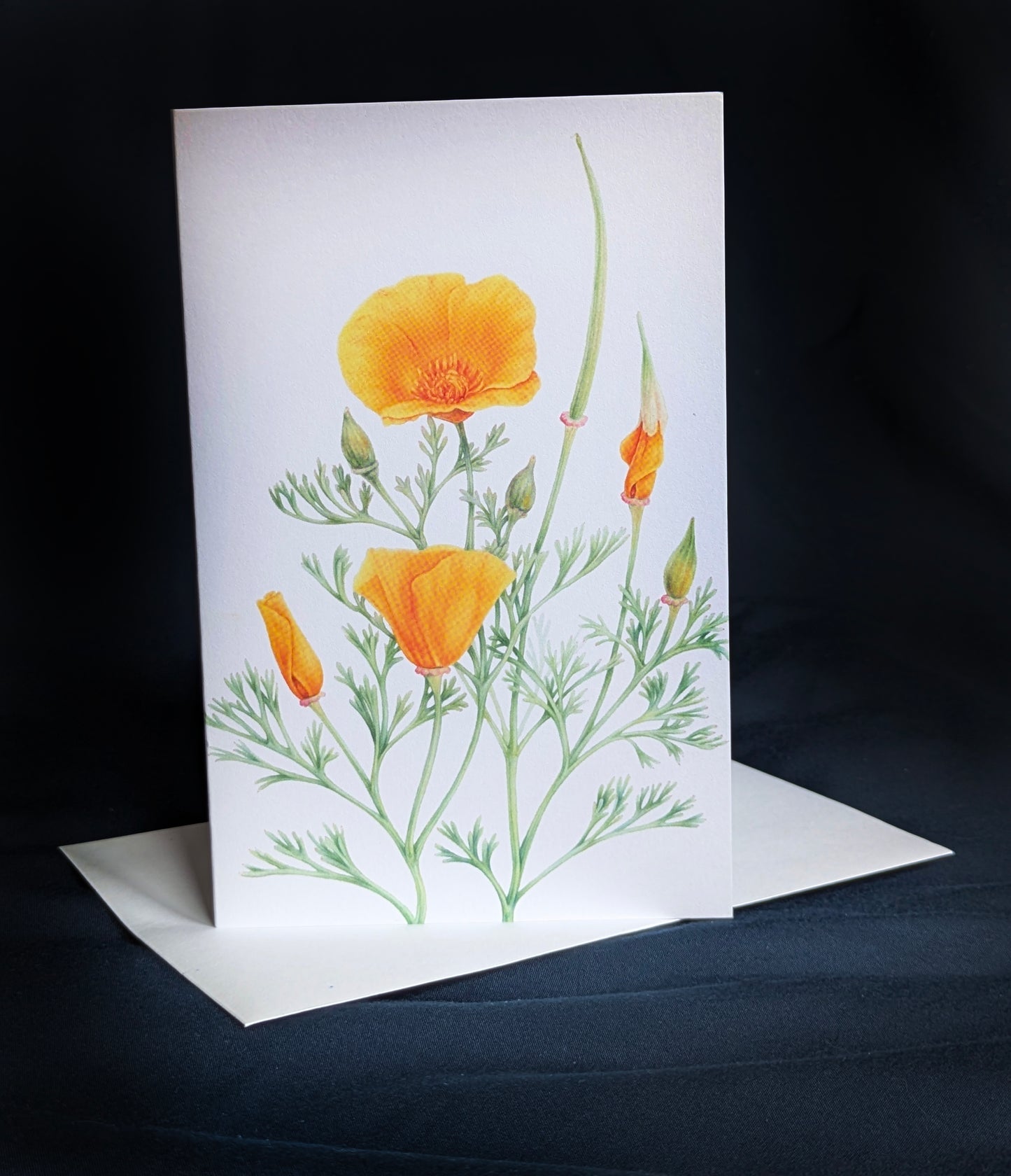 California Poppy Art Card